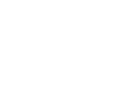 Logo_Intendo